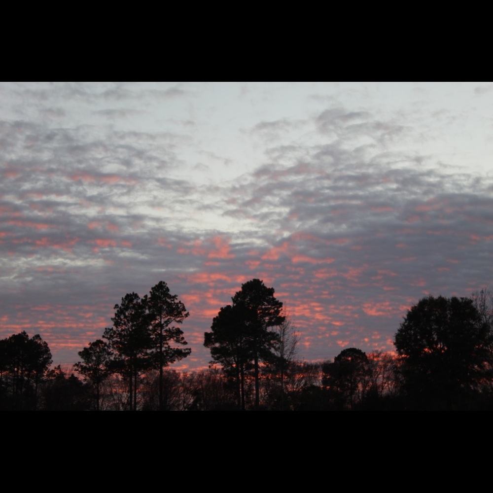 Meet your Posher, Savannah